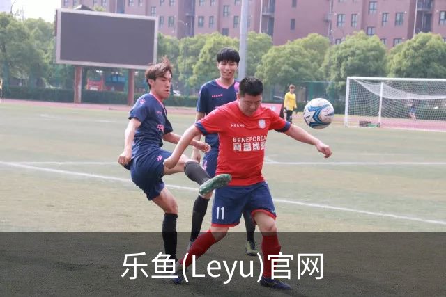 乐鱼(Leyu)官网公司简介
